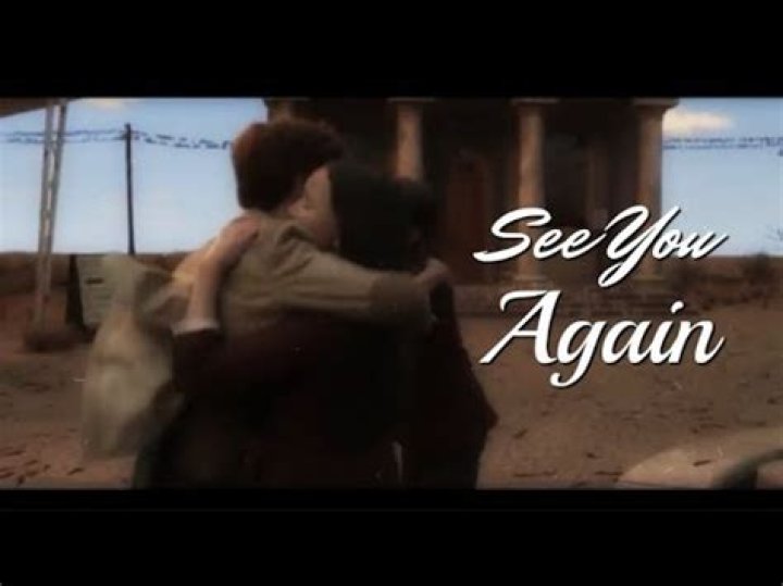 Will the baudelaires see the quagmires again?